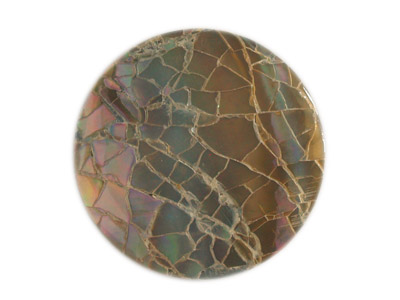 Muschel Cabochon Bild 3